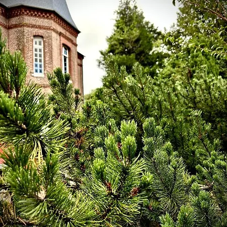 Le Manoir De La Belle Epoque Bethencourt-sur-Mer