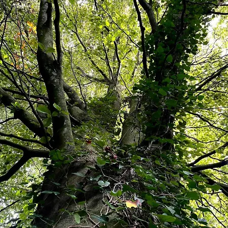 Le Manoir De La Belle Epoque Отель типа 