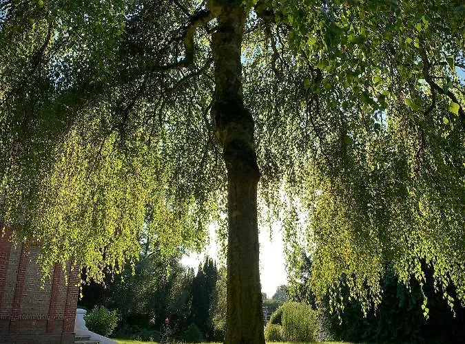 Le Manoir De La Belle Epoque Bed & Breakfast