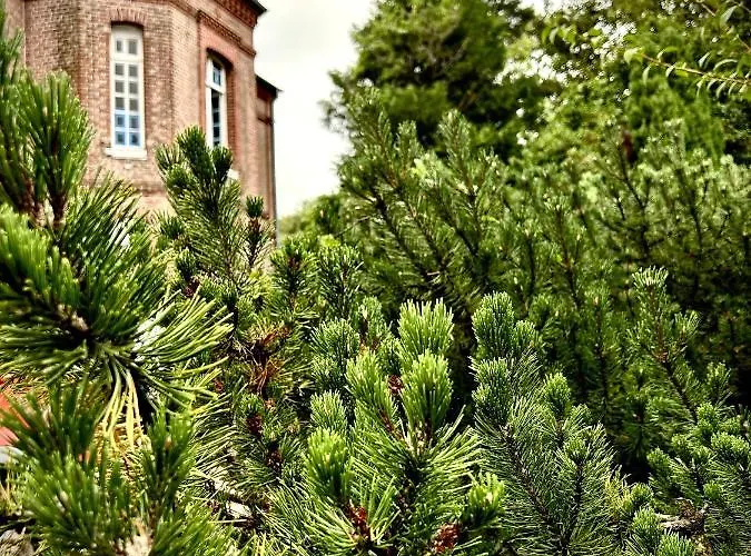 Le Manoir De La Belle Epoque Bethencourt-sur-Mer